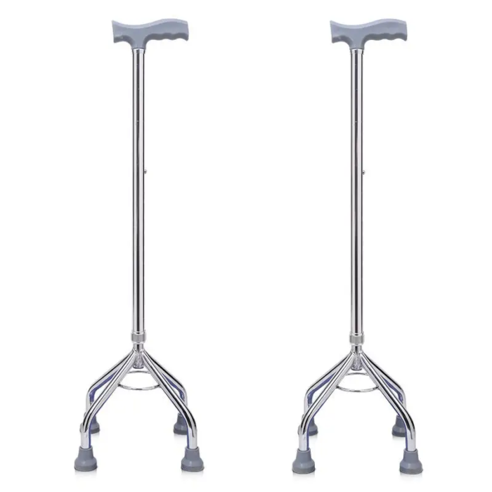 walking stick